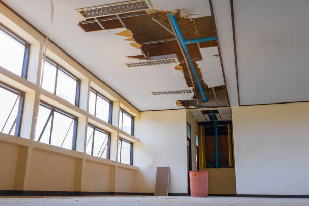 Best Flooded house restoration  in Loop, PA