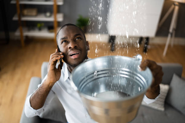 Best Flooded house restoration  in Loop, PA