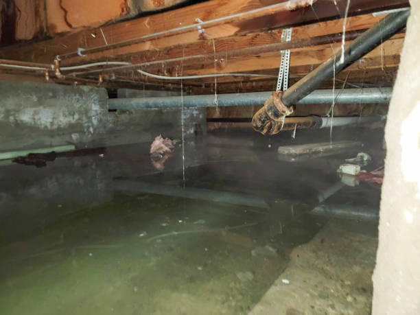 Best 24-hour water damage restoration  in Loop, PA