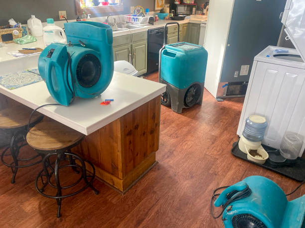 Best Water damage contractors near me  in Loop, PA