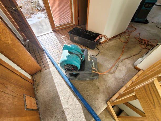 Best Water damage restoration experts  in Loop, PA