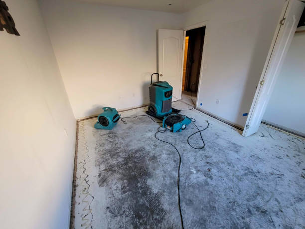 Best Water damage restoration near me  in Loop, PA
