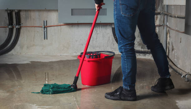 Best Residential water damage restoration  in Loop, PA