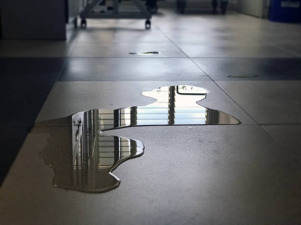 Best Commercial water damage restoration  in Loop, PA