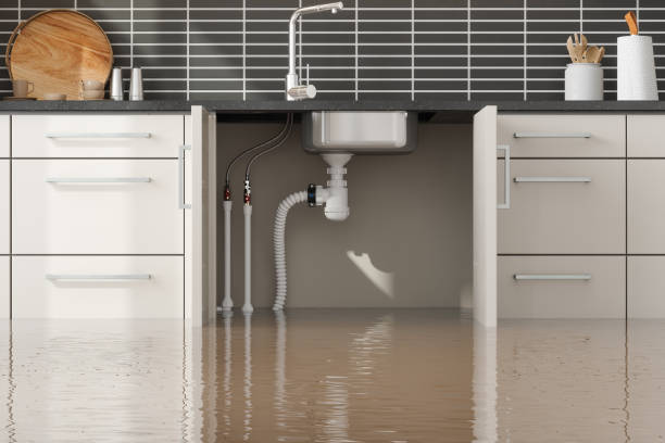 Best Fire Damage Restoration  in Loop, PA