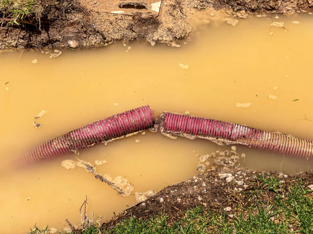 Best Water damage contractors near me  in Loop, PA